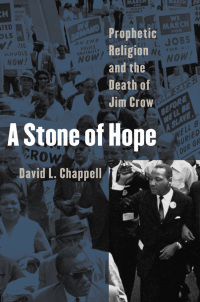 Cover image: A Stone of Hope 9780807828199