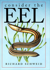 Cover image: Consider the Eel 1st edition 9780807826935