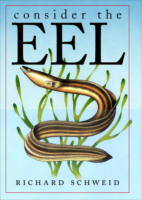 Consider the Eel, 1st  Edition - FULL INSTANT DOWNLOAD | PDF DOCX EPUB