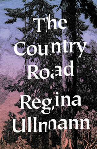 Imagen de portada: The Country Road: Stories 9780811220057