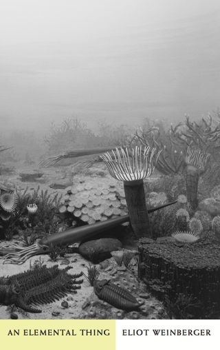 Cover image: An Elemental Thing 9780811216944