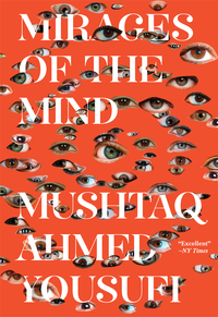 Cover image: Mirages of the Mind 9780811224130