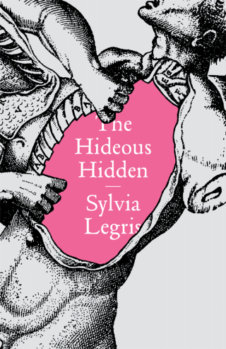 Cover image: The Hideous Hidden 9780811225373