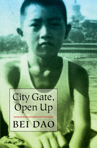 Imagen de portada: City Gate, Open Up 9780811226431