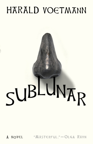 Cover image: Sublunar 9780811229784