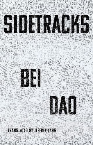 صورة الغلاف: Sidetracks 1st edition 9780811238441