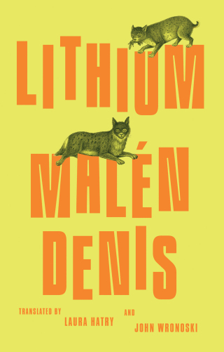Imagen de portada: Lithium 9780811239059