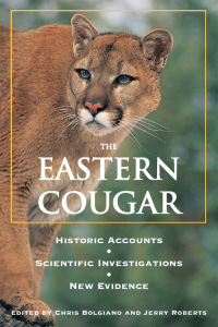 Titelbild: Eastern Cougar 9780811732185