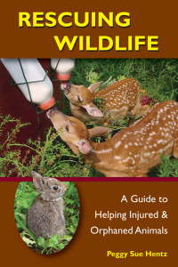 Imagen de portada: Rescuing Wildlife 9780811735889