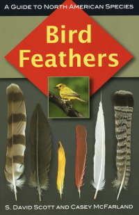 Titelbild: Bird Feathers 9780811736183