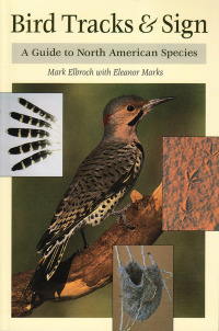 Cover image: Bird Tracks & Sign 9780811726962