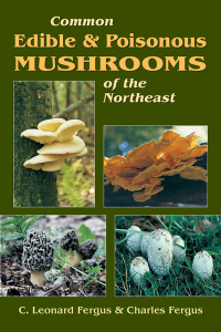 Omslagafbeelding: Common Edible & Poisonous Mushrooms of the Northeast 9780811726412
