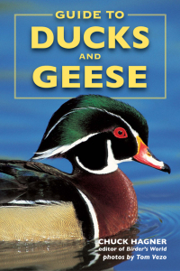 صورة الغلاف: Guide to Ducks and Geese 9780811733441