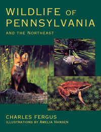表紙画像: Wildlife of Pennsylvania 9780811728997