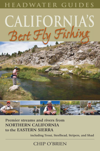 صورة الغلاف: California's Best Fly Fishing 9781934753033
