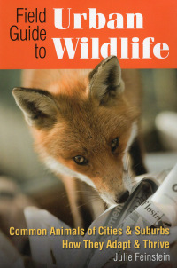 Imagen de portada: Field Guide to Urban Wildlife 9780811705851