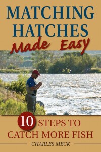 Cover image: Matching Hatches Made Easy 9780811707978