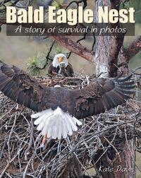 Cover image: Bald Eagle Nest 9780811711302