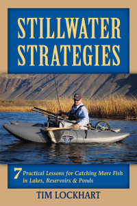 Cover image: Stillwater Strategies 9780811711371