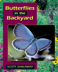 Titelbild: Butterflies in the Backyard 9780811726955