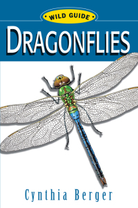 Titelbild: WG: Dragonflies 9780811729710