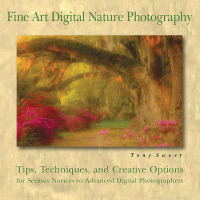 Cover image: Fine Art Digital Nature Photography 9780811734943
