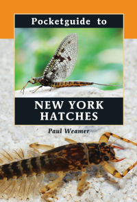 Cover image: Pocketguide to New York Hatches 9780811731706