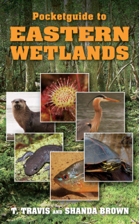 Cover image: Pocketguide to Eastern Wetlands 9780811711739