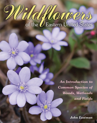 Cover image: Wildflowers of the Eastern United States 9780811713672