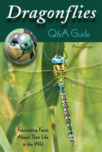 Omslagafbeelding: Dragonflies: Q&A Guide 9780811713269