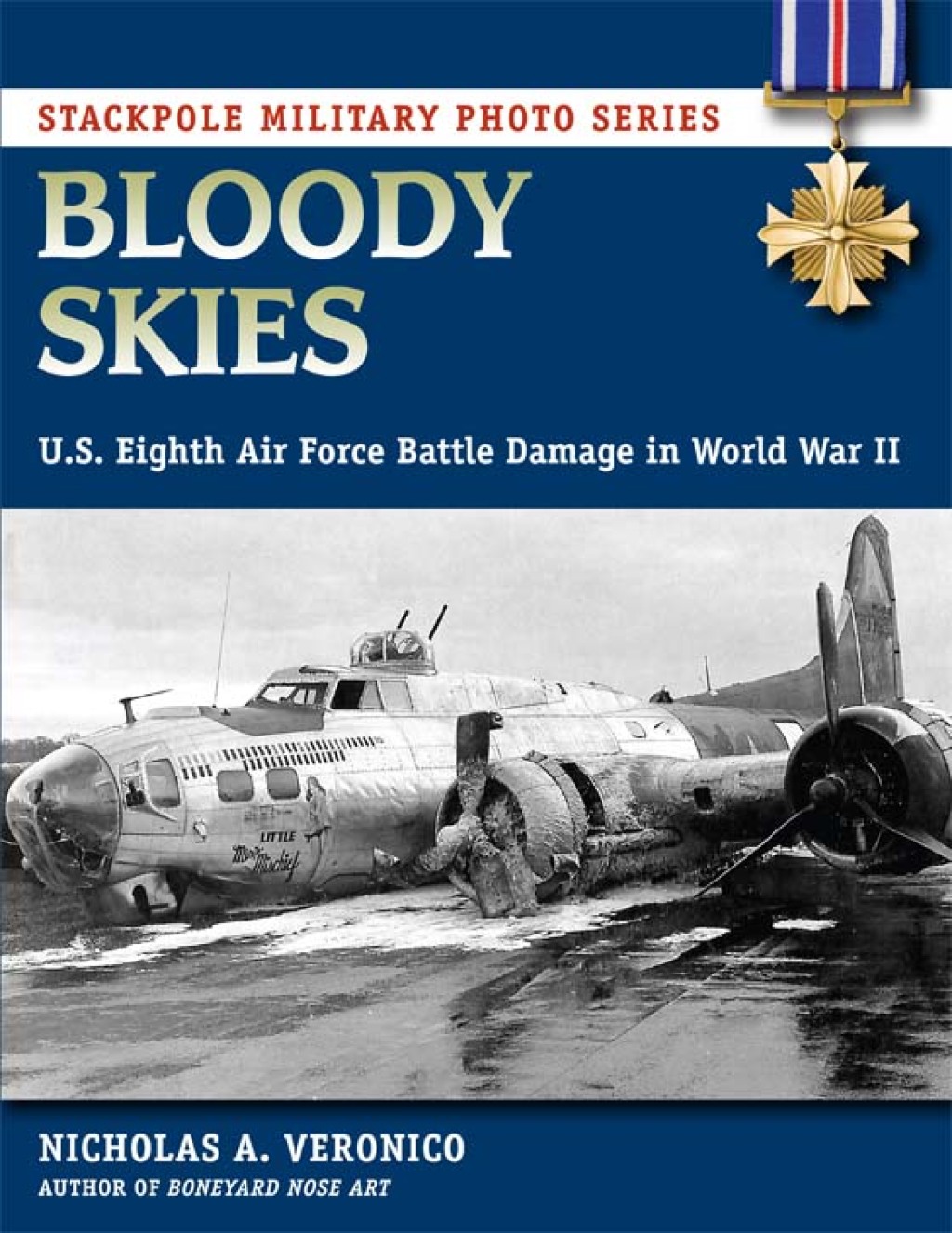 Bloody Skies U.S. Eighth Air Force Battle Damage in World War II