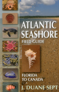 Omslagafbeelding: Atlantic Seashore Field Guide 9780811714211