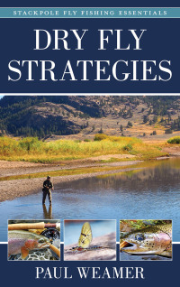 Cover image: Dry Fly Strategies 9780811739535