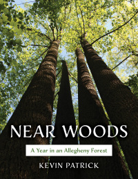 Cover image: Near Woods 9780811772211