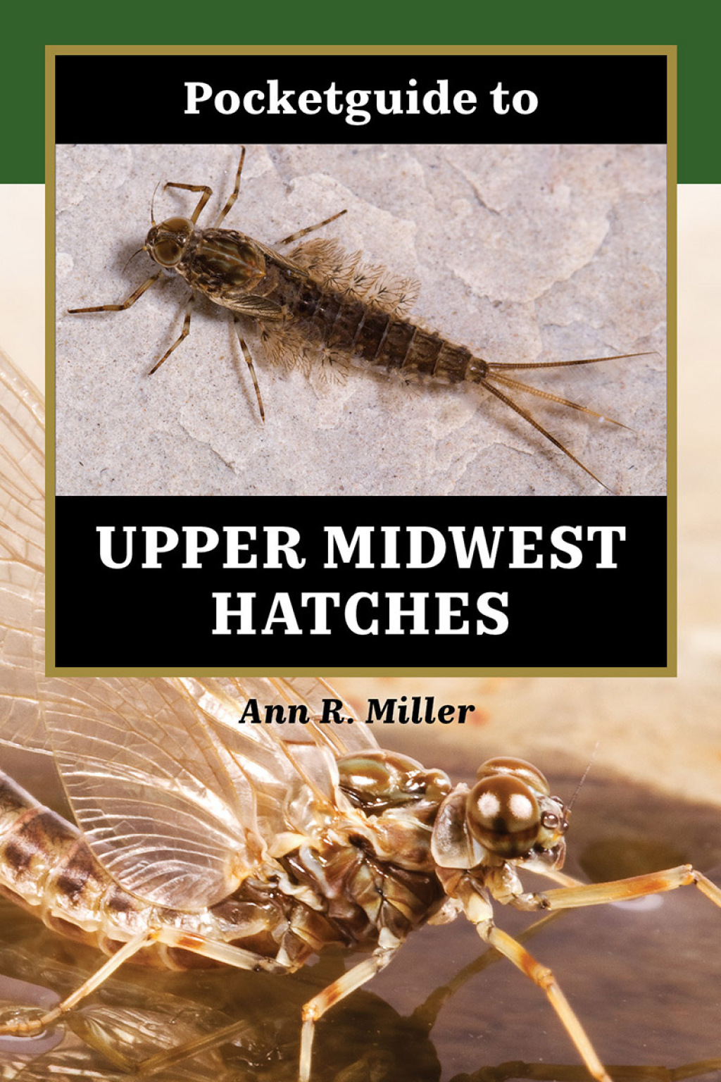 Pocketguide to Upper Midwest Hatches eBook
