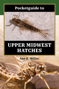 Omslagafbeelding: Pocketguide to Upper Midwest Hatches 9780811772327