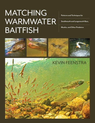 Cover image: Matching Warmwater Baitfish 9780811773980