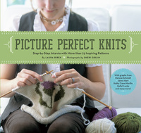 Omslagafbeelding: Picture Perfect Knits 9780811860680