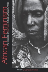 Cover image: African Feminism 9780812215809