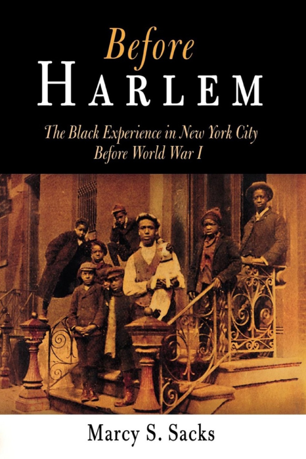 Before Harlem The Black Experience in New York City Before World War I