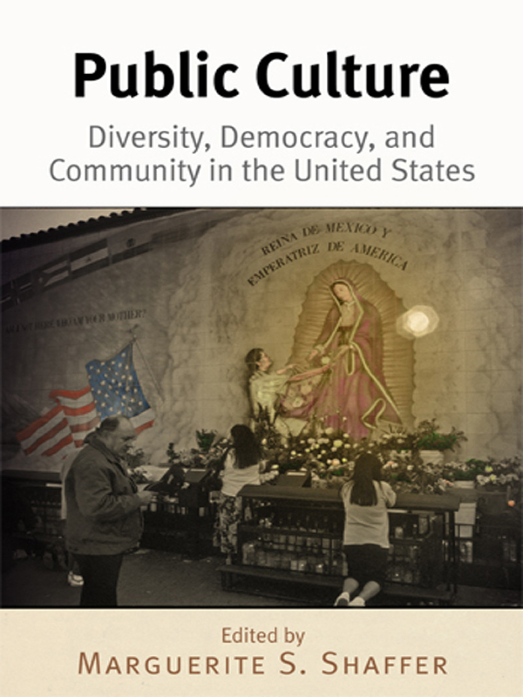 Public Culture Diversity, Democracy, and Community in the United States