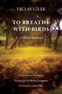 Omslagafbeelding: To Breathe with Birds 9780812246810