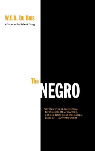 Imagen de portada: The Negro 9780812217759