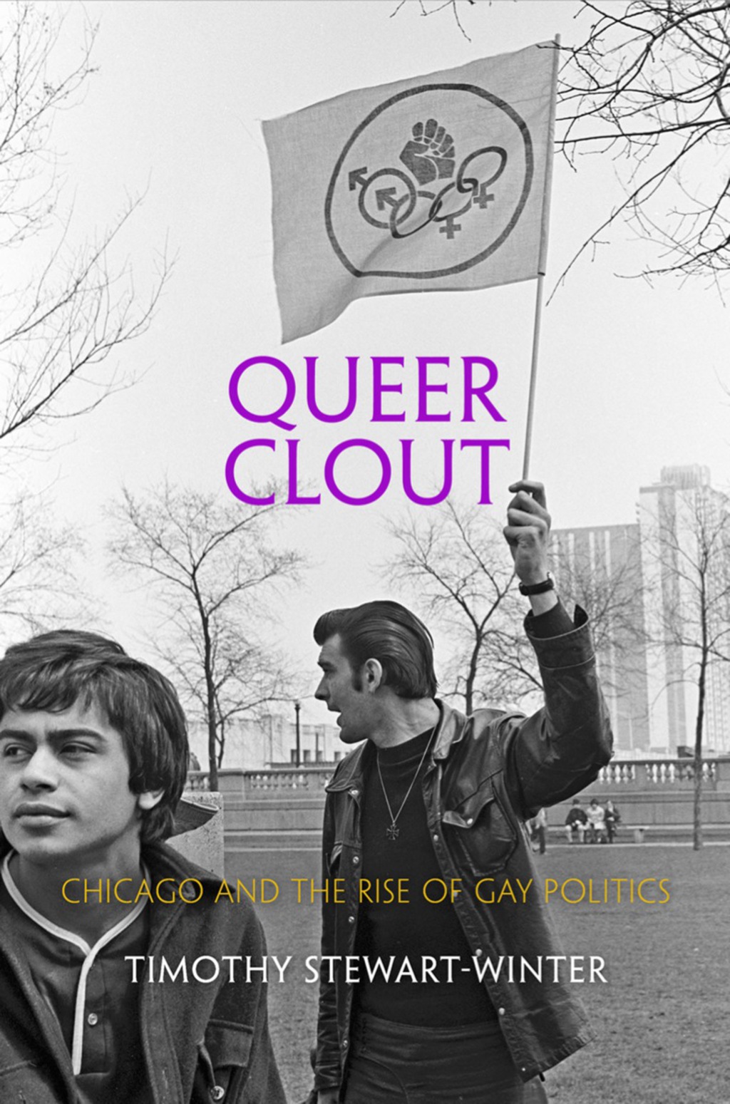 Queer Clout Chicago and the Rise of Gay Politics