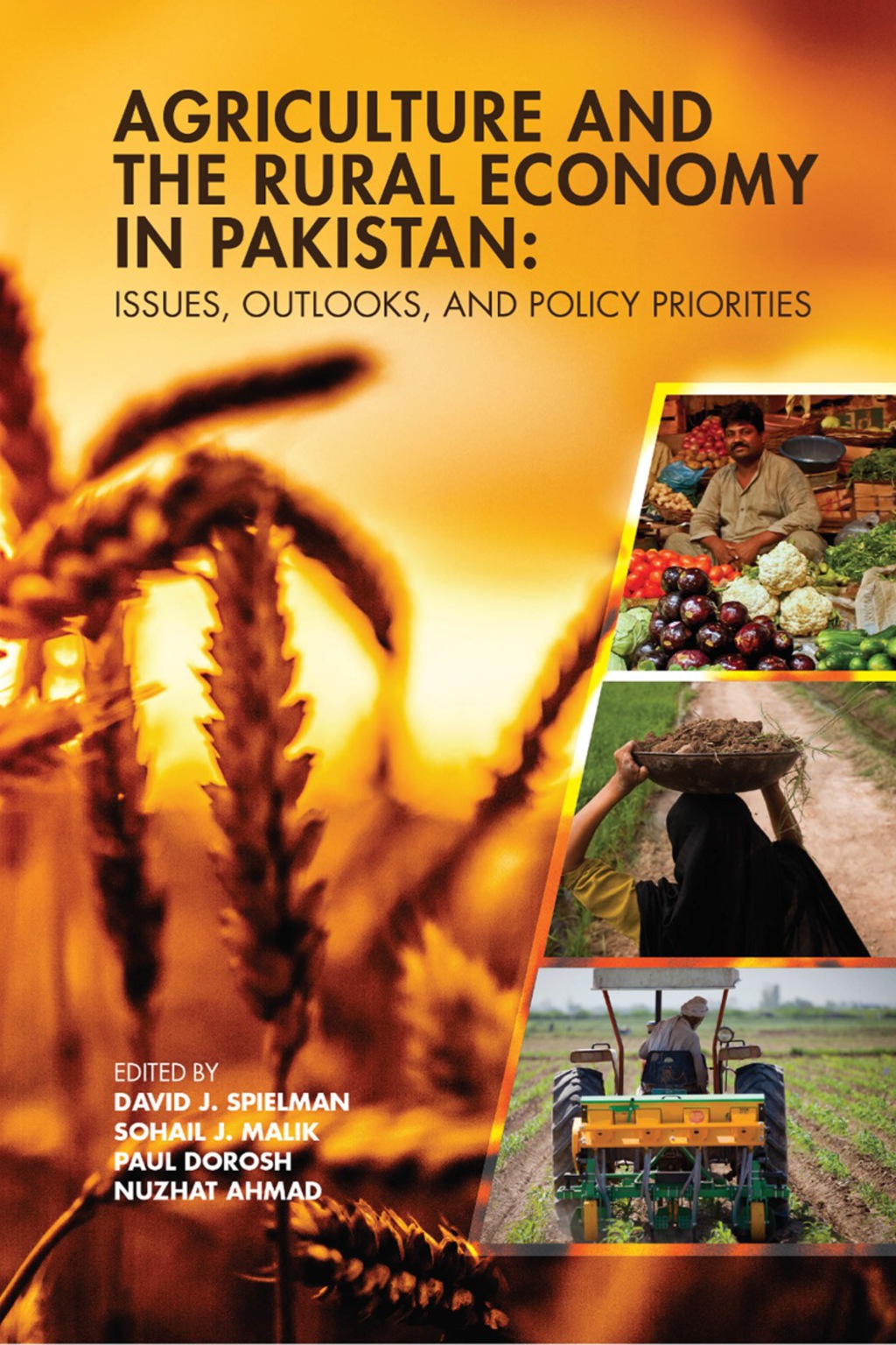Agriculture and the Rural Economy in Pakistan
