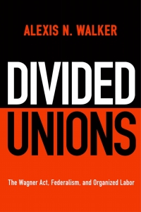 Cover image: Divided Unions 9780812251821