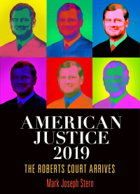 Cover image: American Justice 2019 9780812252132