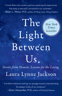 Cover image: The Light Between Us 9780812998382