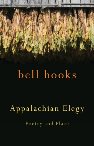 Cover image: Appalachian Elegy 9780813136691