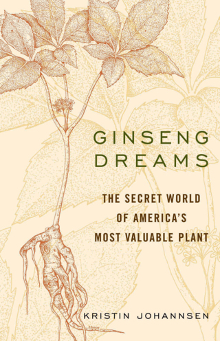 Cover image: Ginseng Dreams 9780813123844